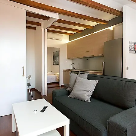 Apartment Mun41 - Mun41 - Sagrada Familia Private Terrace *
